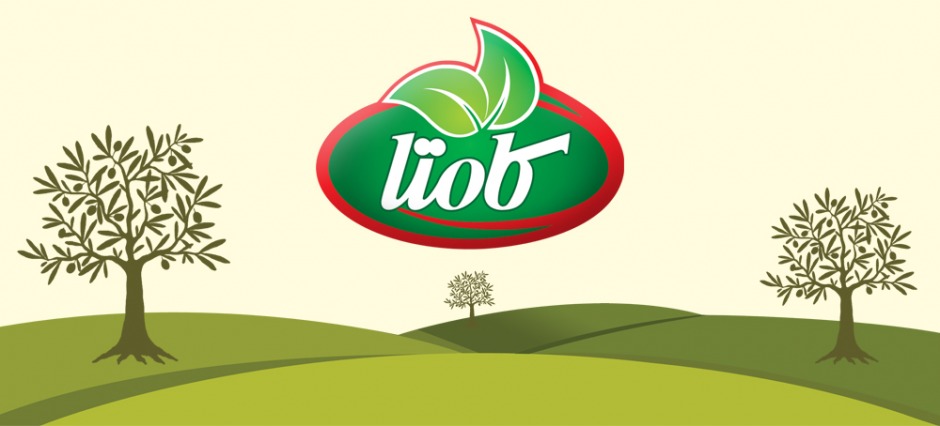 کامتا تولید کننده انواع زیتون و روغن زیتون